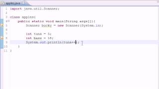 Java Programming Tutorial   9   Increment Operators