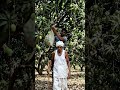 गरीब किसान के चोरी छुपे आमतोड़ने का कितनी मेहनत से बूढ़ा आदमी आम रखा जाता है और आम त #farmerscrisis