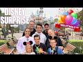 SURPRISE BIRTHDAY TRIP TO DISNEYLAND | THE MOVIE