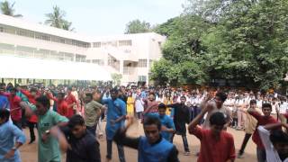 Reverberations'15 flash mob performance
