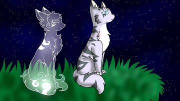 Jayfeather x Halfmoon MAP part 12
