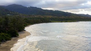 Maui Beach Vlog - Shot on the Canon EOS R5