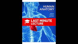 Embryology & Human Development | Chapter 28 – Human Anatomy (8th)