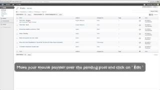 Wordpress admin post reviewing and publish