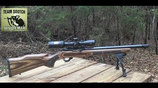 Ruger 1022 Bull Barrel Review