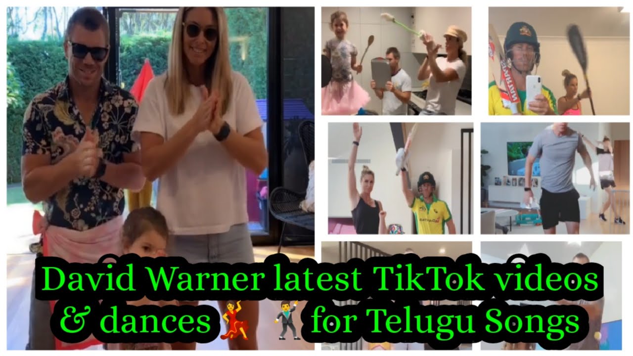 Australian team opener David Warner family total TikTok videos