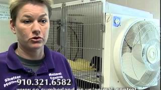 Cumberland County Animal Control Foster Program