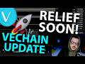 VECHAIN BEAR MARKET | VECHAIN PRICE PREDICTION 2026 | VET PRICE PREDICTION | VET