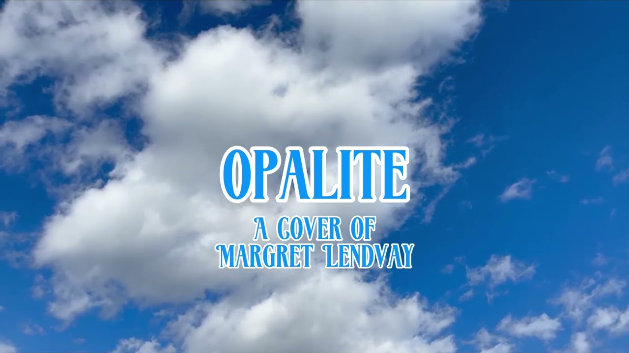 Opalite (Taylor Swift) Acoustic Cover Of Margret Lendvay