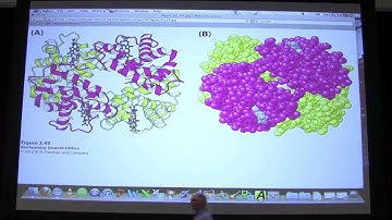 #05 Biochemistry Protein Tertiary/Quaternary Structure Lecture for Kevin Ahern