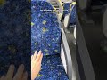 SYDNEY TRAINS VS MELBOURNE TRAINS