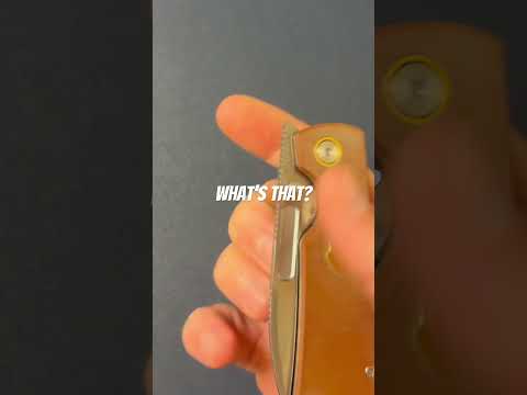 What’s that?