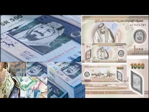 اسعار العملات العربية أمام الجنية المصري اليوم ١٣ ١ ٢٠٢٣ مصر