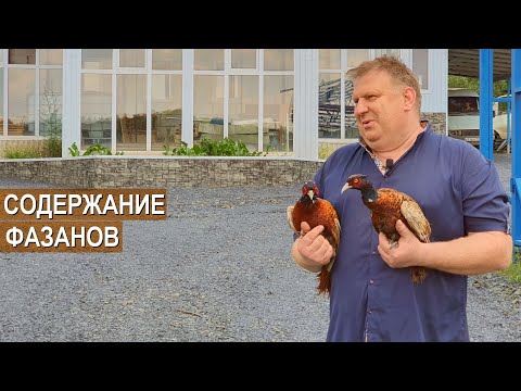 Бейне: Денсаулық үшін жемісті су қиындықсыз