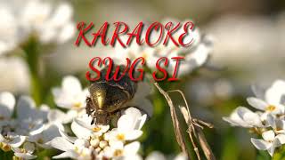 #SWG SI original karaoke =Teri-Api-Techi