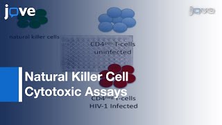 Preparation & Use: HIV-1 Infected Primary CD4+ T-Cells As Target Cells l Protocol Preview