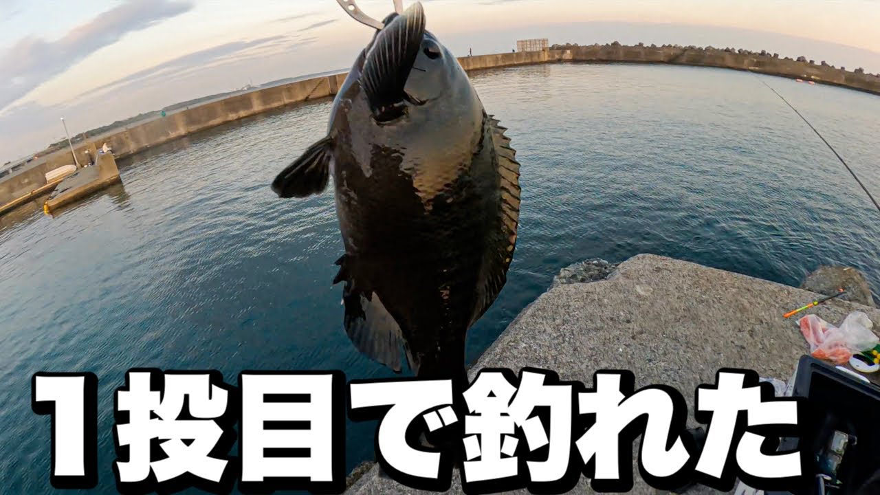 I tried a new tackle at Oiso Port and on the first cast - YouTube