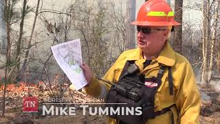 Medicine for the Forests: Controlled (RX) Burn