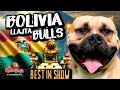 Bolivia  evento llajta bulls 2023