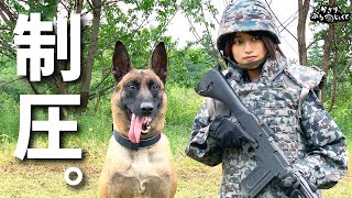 【自衛隊】本気を出した最強警備犬、不審者への対応が凄すぎた。【制圧】JASDF Military dog! Defeat a suspicious person with a military dog