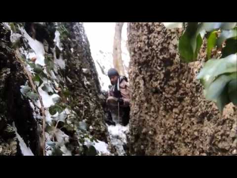 ლაშქრობა ბირთვისის ციხეზე