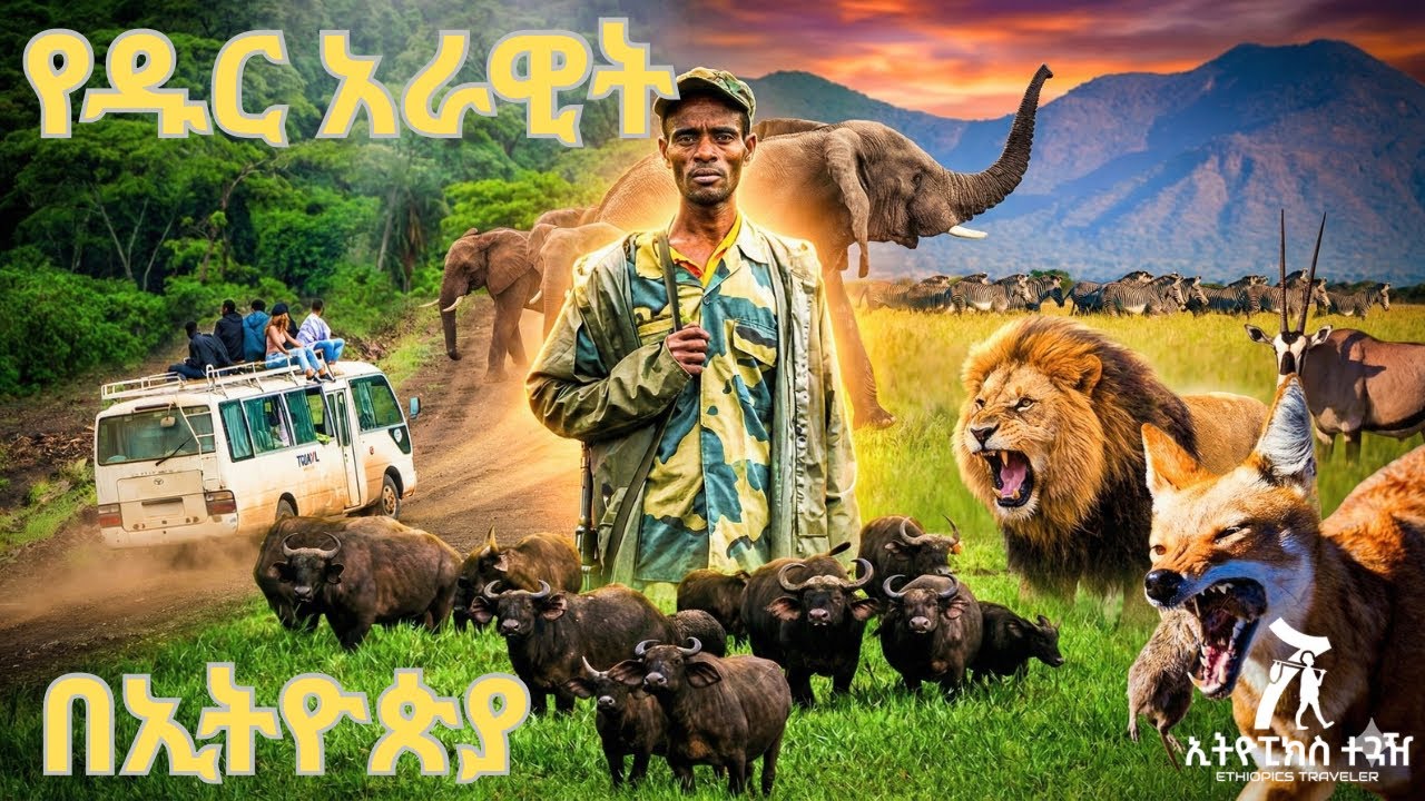 ከኢትዮጵያ የዱር አራዊት ጋር ፡ Incredible Wildlife of Ethiopia You Didn’t Know Existed