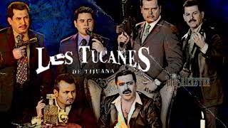 Los Carros Empolvados [El M1] - Los Tucanes de Tijuana [En Vivo]