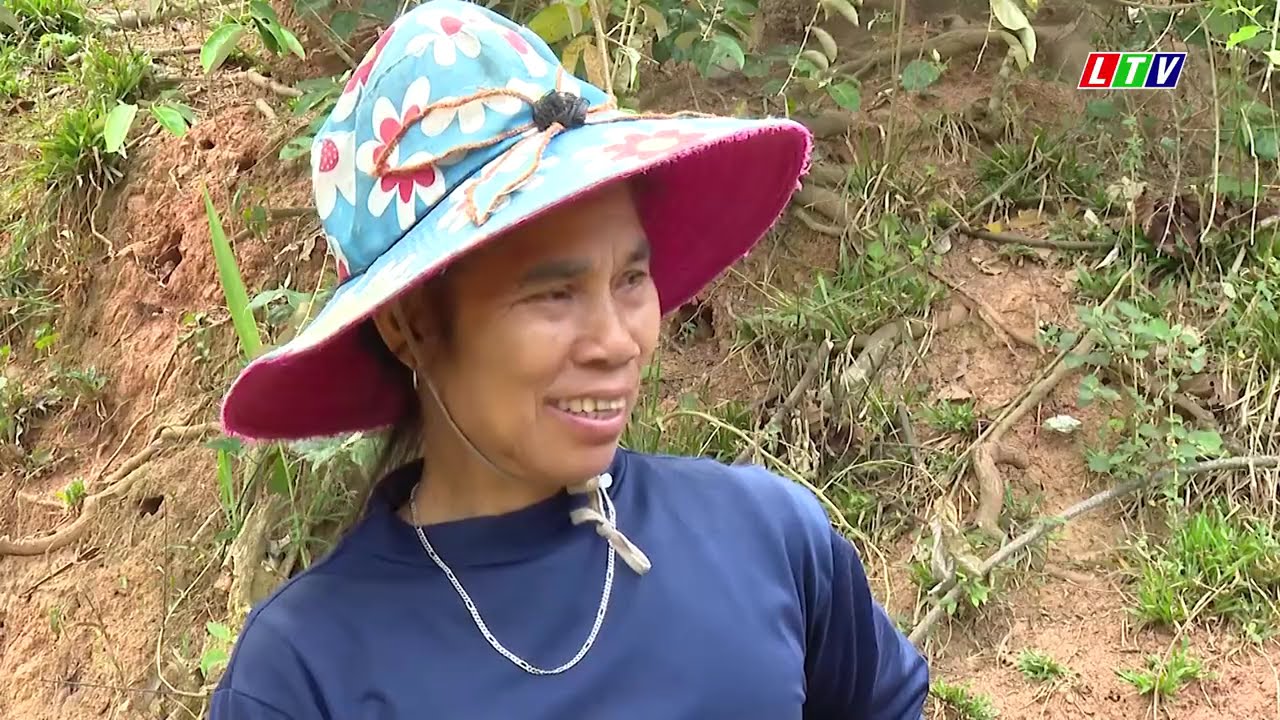 Tin tức thời sự Lai Châu trưa, ngày 06/04/2026