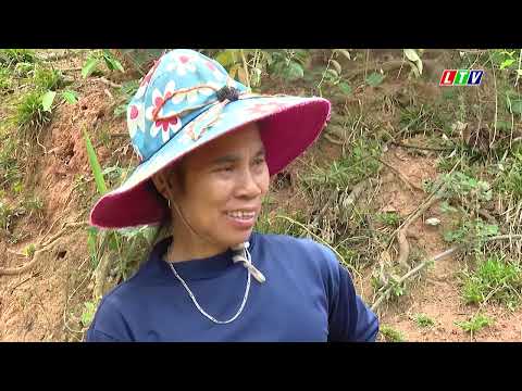 Tin tức thời sự Lai Châu trưa, ngày 06/04/2026