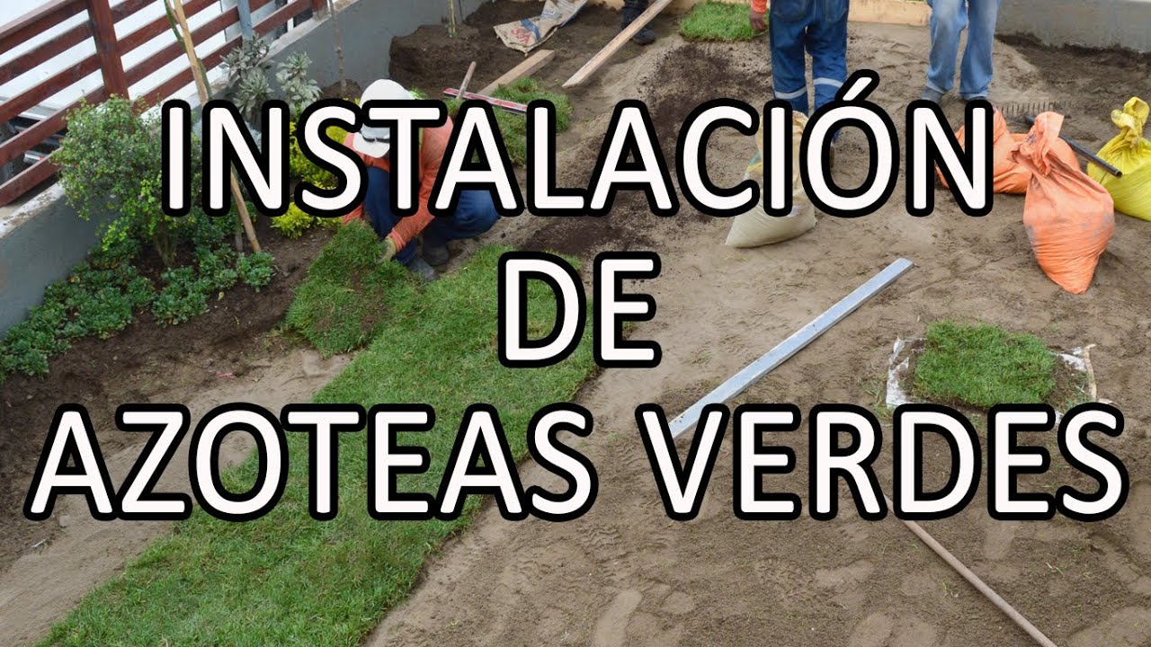 INATALACION DE AZOTEAS VERDES
