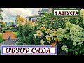 ЯРКИЕ цветущие КЛУМБЫ и миксбордеры в саду. Обзор  на 1 августа #1