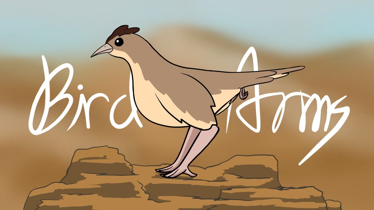 Bird with Arms (a really short animation)