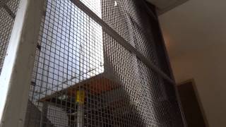 Simply modernized Schindler elevator 1