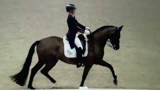 Charlotte Dujardin and Alive and Kicking Grand Prix Special