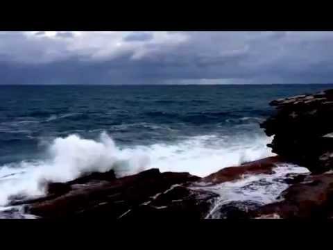 Coogee and the ocean camera iphone 8 plus apk