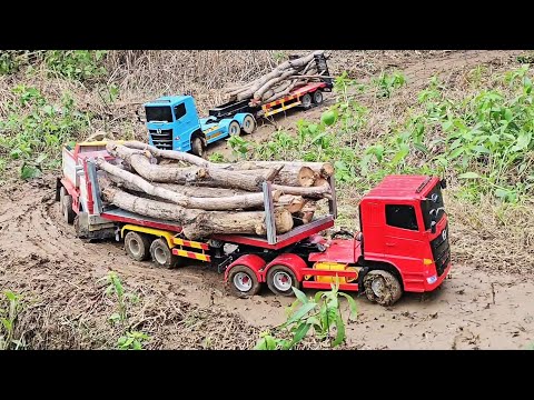 Realistic RC Trucks Working Hard: Logging, Dumping Dirt, and Mudding