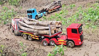 Realistic RC Trucks Working Hard: Logging, Dumping Dirt, and Mudding
