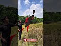 I made a human kite !😱