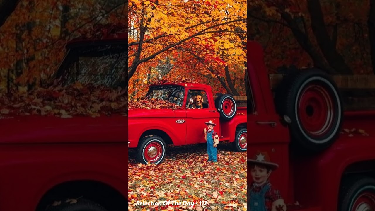 How incredible autumn really is 