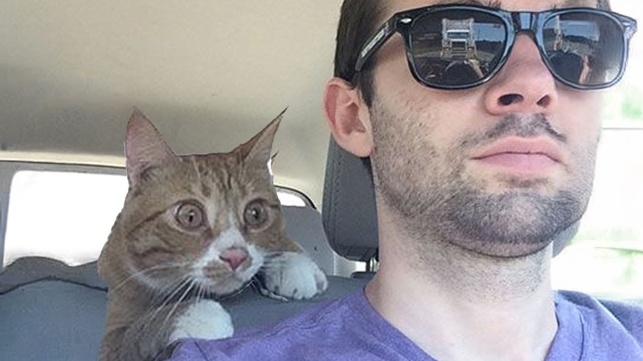 When your CAT being overly DRAMATIC 😂