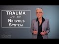 Trauma and the Nervous System (and strategies to work with it)