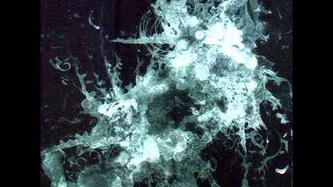 Vediog Svaor - Curled Up Satrs