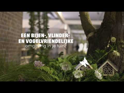 Een bijen-, vlinder-