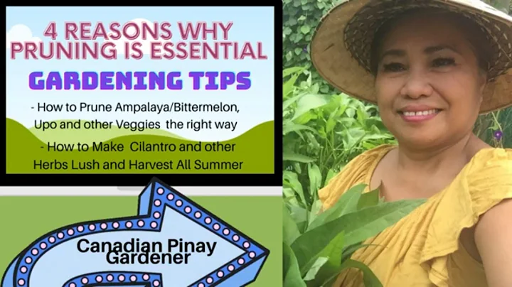 4 Reasons Why Pruning is Essential to Plants - Arl...