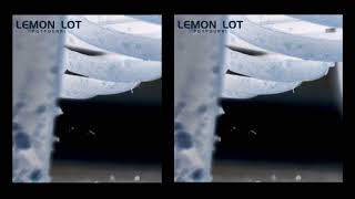 Memories (A Buck House cover of a Lemon Lot Song)