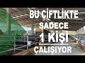 Eşref Şekerli - Bu çiftlikte sadece 1 kişi çalışıyor