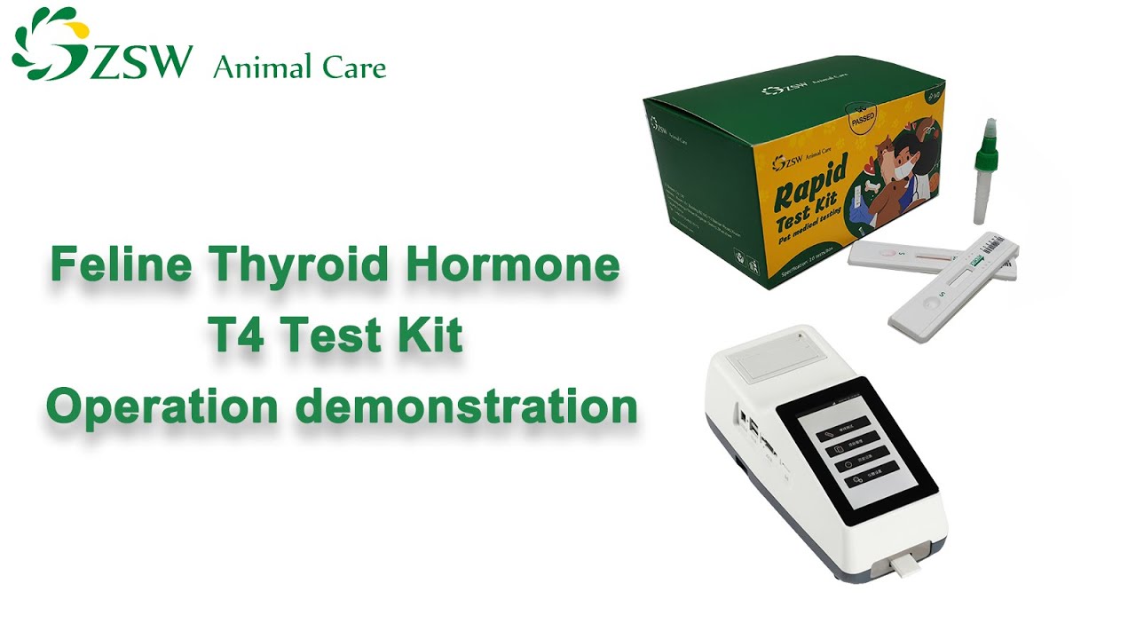 T4 Testing 〖fTT4 Test〗Feline Thyroid Hormone T4 Test Kit Operation demonstration ...