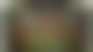 Too Many Bones, playing Mulmesh, Setup and Day 1 #TooManyBones #Boardgames