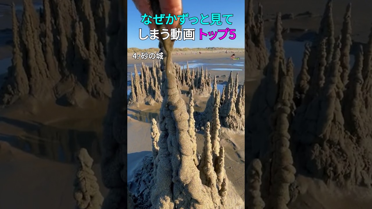 なぜかずっと見てしまう動画 トップ5