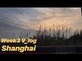 Week 3, v_log Shanghai !(camp fire 🔥, Xintiandi, Fudan, gym)